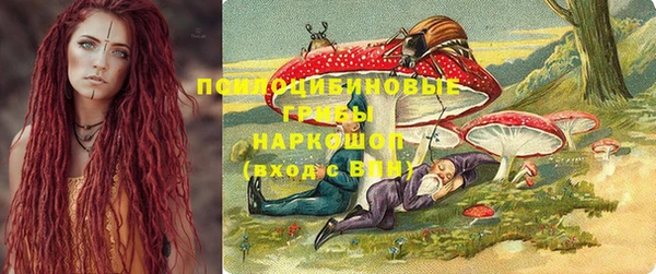 эйфоретик Пересвет
